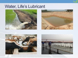 Water, Life’s Lubricant
 