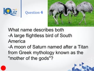 What name describes both
-A large flightless bird of South
America
-A moon of Saturn named after a Titan
from Greek mythology known as the
"mother of the gods"?
Question 4
 