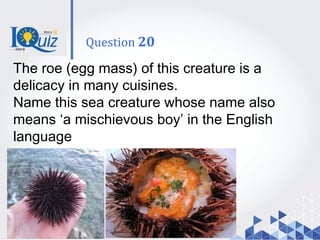 The roe (egg mass) of this creature is a
delicacy in many cuisines.
Name this sea creature whose name also
means ‘a mischievous boy’ in the English
language
Question 20
 