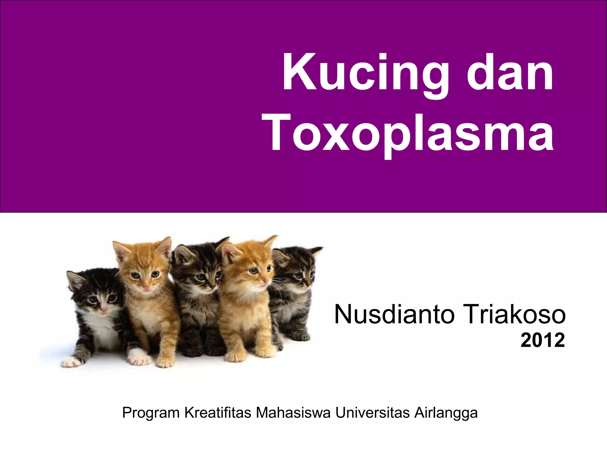 Kucing dan toxoplasma 2012 - triakoso | PPT