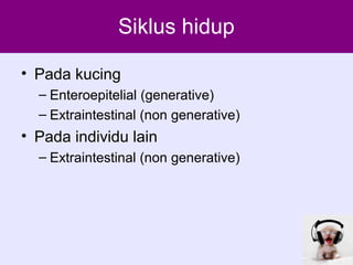 Kucing dan toxoplasma 2012 - triakoso | PPT