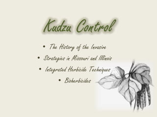 Kudzu Control
  • The History of the Invasive
• Strategies in Missouri and Illinois
 • Integrated Herbicide Techniques
         • Bioherbicides
 