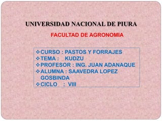 UNIVERSIDAD NACIONAL DE PIURA
FACULTAD DE AGRONOMIA
CURSO : PASTOS Y FORRAJES
TEMA : KUDZU
PROFESOR : ING. JUAN ADANAQUE
ALUMNA : SAAVEDRA LOPEZ
GOSBINDA
CICLO : VIII
 