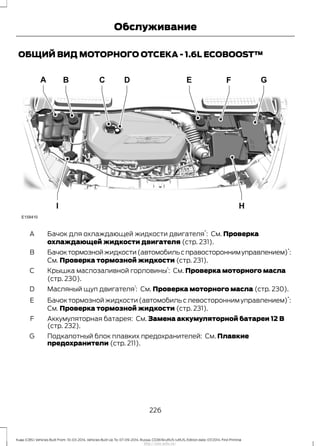 ОБЩИЙ ВИД МОТОРНОГО ОТСЕКА - 1.6L ECOBOOST™
Бачок для охлаждающей жидкости двигателя
*
: См. Проверка
охлаждающей жидкости двигателя (стр. 231).
A
Бачоктормознойжидкости(автомобильсправостороннимуправлением)
*
:
См. Проверка тормозной жидкости (стр. 231).
B
Крышка маслозаливной горловины
1
: См. Проверка моторного масла
(стр. 230).
С
Масляный щуп двигателя
1
: См. Проверка моторного масла (стр. 230).D
Бачок тормозной жидкости (автомобиль с левосторонним управлением)
*
:
См. Проверка тормозной жидкости (стр. 231).
E
Аккумуляторная батарея: См. Замена аккумуляторной батареи 12 В
(стр. 232).
F
Подкапотный блок плавких предохранителей: См. Плавкие
предохранители (стр. 211).
G
226
Kuga (CBS) Vehicles Built From: 10-03-2014, Vehicles Built Up To: 07-09-2014, Russia, CG3616ruRUS ruRUS, Edition date: 07/2014, First Printing
Обслуживание
http://ava-avto.ru/
 