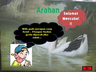 Arahan         Selamat
                         Mencuba!
                            !!
Klik pada jawapan yang
betul . Ulangan Soalan
   perlu dijawab jika
        salah…
 