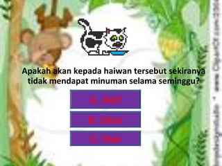 Apakah akan kepada haiwan tersebut sekiranya
 tidak mendapat minuman selama seminggu?

                A. Aktif

               B. Sihat
                C. Mati
 