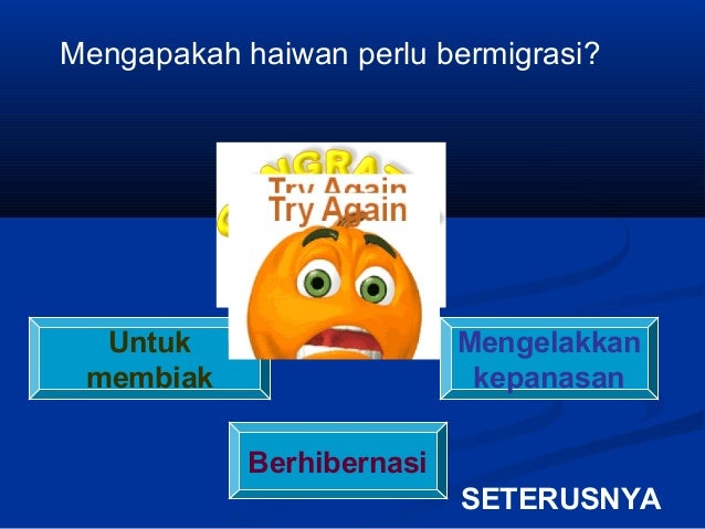 Kuiz Haiwan Menyesuai Dengan Cuaca