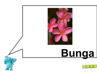 Bunga 