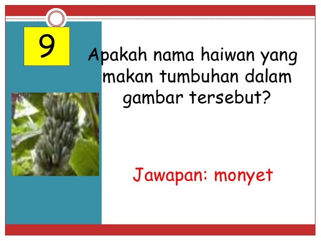 Soalan Kuiz Alam Sekitar Sekolah Menengah  QQ Rumah