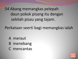 54 Abang memangkas pelepah
   daun pokok pisang itu dengan
   sebilah pisau yang tajam.
Perkataan seerti bagi memangkas ialah

  A meraut
  B menebang
  C mencantas
 