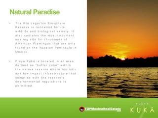 Natural Paradise
•    The Ría Lagartos Biosphere
     Reserve is renowned for its
     w i l d l i f e a n d b i o l o g i c a l v a r i e t y. I t
     also contains the most important
     nesting site for thousands of
     American Flamingos that are only
     found on the Yucatan Peninsula in
     Mexico.


•    Playa Kuká is located in an area
     defined as "buffer zone" within
     the nature reserve where touristic
     and low impact infrastructure that
     complies with the reserve's
     environmental regulations is
     permitted.
 