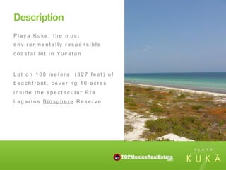 Description
Playa Kuka, the most
environmentally responsible
c o a s t a l l o t i n Yu c a t a n



Lot on 100 meters               (327 feet) of
beachfront, covering 10 acres
inside the spectacular Ría
Lagartos Biosphere Reserve
 