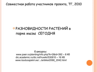 [object Object],Совместная работа участников проекта, ТГ, 2010  Е-ресурсы:   www.paer.ru/planting/info.php?k=2&id=392 – 8  Кб   dic.academic.ru/dic.nsf/ruwiki/530810 – 16  Кб  www.loodusajakiri.ee/.../artikkel2066_2042.html  