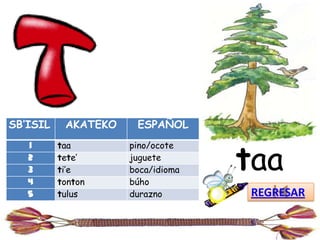SB’ISIL    AKATEKO    ESPAÑOL


                                   taa
   1      taa        pino/ocote
   2      tete’      juguete
   3      ti’e       boca/idioma
   4      tonton     búho
   5      tulus      durazno       REGRESAR
 