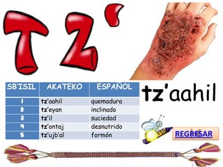 tz’aahil
SB’ISIL     AKATEKO    ESPAÑOL
   1      tz’aahil    quemadura
   2      tz’eyan     inclinado
   3      tz’il       suciedad
   4      tz’ontaj    desnutrido
   5      tz’ujb’al   formón          REGRESAR
 