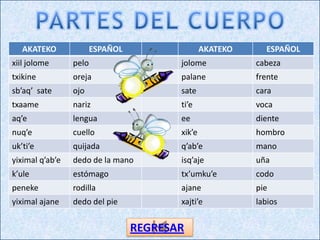 AKATEKO              ESPAÑOL                  AKATEKO     ESPAÑOL
xiil jolome      pelo                    jolome            cabeza
txikine          oreja                   palane            frente
sb’aq’ sate      ojo                     sate              cara
txaame           nariz                   ti’e              voca
aq’e             lengua                  ee                diente
nuq’e            cuello                  xik’e             hombro
uk’ti’e          quijada                 q’ab’e            mano
yiximal q’ab’e   dedo de la mano         isq’aje           uña
k’ule            estómago                tx’umku’e         codo
peneke           rodilla                 ajane             pie
yiximal ajane    dedo del pie            xajti’e           labios


                                  REGRESAR
 