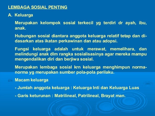 Perbedaan Kelompok Sosial Organisasi Sosial Dan Lembaga