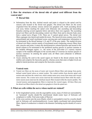 Histology assignment by Kula Jilo
Jimma university school of veterinary medicine, December, 2015[Type text] Page 2
2. How the structures of the dorsal side of spinal cord different from the
ventral side?
 Dorsal Side
 Information from the skin, skeletal muscle and joints is relayed to the spinal cord by
sensory cells located in the dorsal root ganglia. The dorsal root fibers are the axons
originated from the primary sensory dorsal root ganglion cells. Each ascending dorsal
root axon, before reaching the spinal cord, bifurcates into ascending and descending
branches entering several segments below and above their own segment. The ascending
dorsal root fibers and the descending ventral root fibers from and to discrete body areas
form a spinal nerve (Figure 3.10). There are 31 paired spinal nerves. The dorsal root
fibers segregate into lateral and medial divisions. The lateral division contains most of the
unmyelinated and small myelinated axons carrying pain and temperature information to
be terminated in the Rexed laminae I, II, and IV of the gray matter. The medial division
of dorsal root fibers consists mainly of myelinated axons conducting sensory fibers from
skin, muscles and joints; it enters the dorsal/posterior column/funiculus and ascend in the
dorsal column to be terminated in the ipsilateral nucleus gracilis or nucleus cuneatus at
the medulla oblongata region, i.e., the axons of the first-order (1°) sensory neurons
synapse in the medulla oblongata on the second order (2°) neurons (in nucleus gracilis or
nucleus cuneatus). In entering the spinal cord, all fibers send collaterals to different
Rexed lamina.
 Axons entering the cord in the sacral region are found in the dorsal column near the
midline and comprise the fasciculus gracilis, whereas axons that enter at higher levels are
added in lateral positions and comprise the fasciculus cuneatus
Ventral roots
 Ventral root fibers are the axons of motor and visceral efferent fibers and emerge from poorly
defined ventral lateral sulcus as ventral rootlets. The ventral rootlets from discrete spinal cord
section unite and form the ventral root, which contain motor nerve axons from motor and visceral
motor neurons. The α motor nerve axons innervate the extrafusal muscle fibers while the small γ
motor neuron axons innervate the intrafusal muscle fibers located within the muscle spindles. The
visceral neurons send preganglionic fibers to innervate the visceral organs. All these fibers join
the dorsal root fibers distal to the dorsal root ganglion to form the spinal nerv
3. What are cells within the nerve whose nuclei are stained?
 In the longitudinal section, note the argyrophilic axons, many of which are surrounded by
an "unstained" myelin sheath.The neurilemmal sheath (outer layer of Schwann cell
cytoplasm) is visible. Find some nodes of Ranvier.
 In the cross section note the axon (black), which is surrounded in turn by a myelin sheath
and its Schwann cell neurilemma(brown). Locate lightly myelinated and unmyelinated
fibers. Speed of conduction is related to the diameter (including myelin sheath) of a nerve
fiber.
 