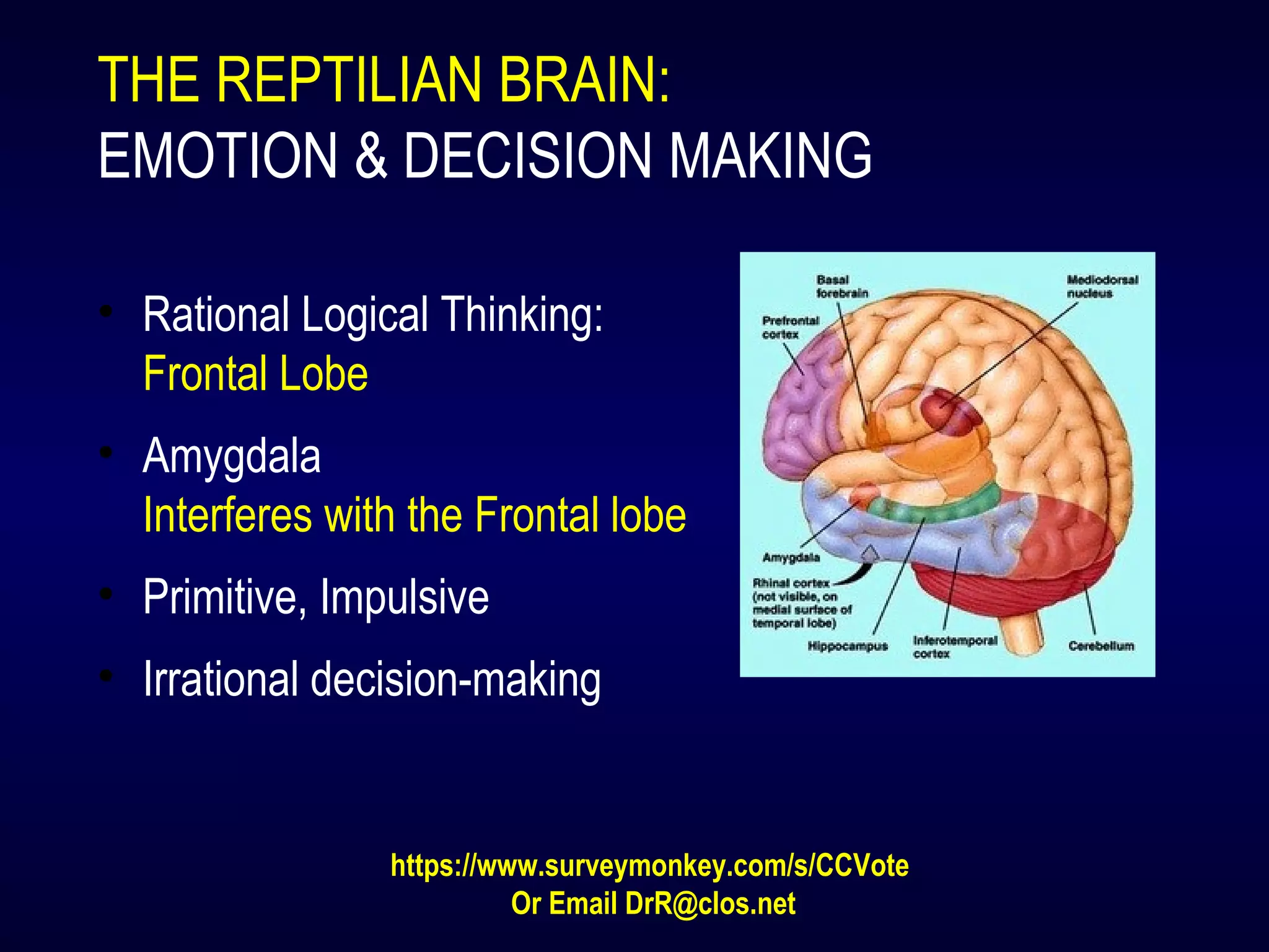 THE REPTILIAN BRAIN:
EMOTION & DECISION MAKING
• Rational Logical Thinking:
Frontal Lobe
• Amygdala
Interferes with the Frontal lobe
• Primitive, Impulsive
• Irrational decision-making
https://www.surveymonkey.com/s/CCVote
Or Email DrR@clos.net
 