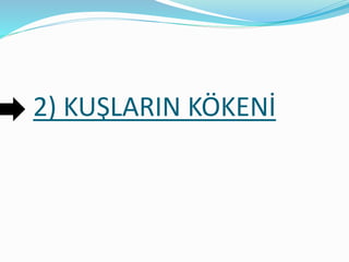 2) KUŞLARIN KÖKENİ
 
