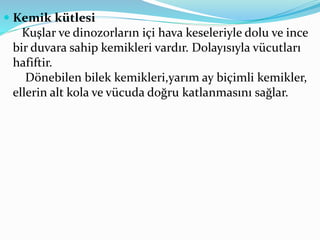  Kemik kütlesi
Kuşlar ve dinozorların içi hava keseleriyle dolu ve ince
bir duvara sahip kemikleri vardır. Dolayısıyla vücutları
hafiftir.
Dönebilen bilek kemikleri,yarım ay biçimli kemikler,
ellerin alt kola ve vücuda doğru katlanmasını sağlar.
 