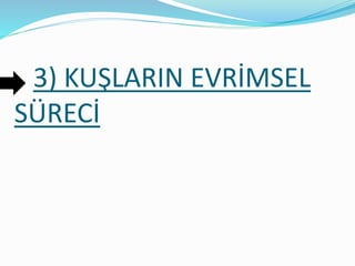 3) KUŞLARIN EVRİMSEL
SÜRECİ
 