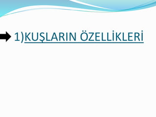 1)KUŞLARIN ÖZELLİKLERİ
 
