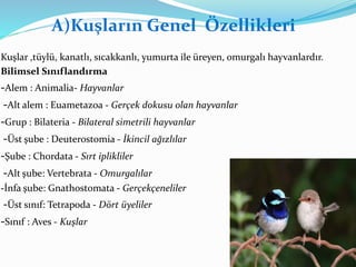 A)Kuşların Genel Özellikleri
Kuşlar ,tüylü, kanatlı, sıcakkanlı, yumurta ile üreyen, omurgalı hayvanlardır.
Bilimsel Sınıflandırma
-Alem : Animalia- Hayvanlar
-Alt alem : Euametazoa - Gerçek dokusu olan hayvanlar
-Grup : Bilateria - Bilateral simetrili hayvanlar
-Üst şube : Deuterostomia - İkincil ağızlılar
-Şube : Chordata - Sırt iplikliler
-Alt şube: Vertebrata - Omurgalılar
-İnfa şube: Gnathostomata - Gerçekçeneliler
-Üst sınıf: Tetrapoda - Dört üyeliler
-Sınıf : Aves - Kuşlar
 