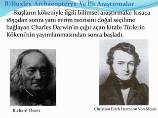 B)Huxley, Archaeopteryx Ve İlk Araştırmalar
Kuşların kökeniyle ilgili bilimsel araştırmalar kısaca
1859dan sonra yani evrim teorisini doğal seçilime
bağlayan Charles Darwin’in çığır açan kitabı Türlerin
Kökeni’nin yayımlanmasından sonra başladı.
Christian Erich Hermann Von MeyerRichard Owen
 