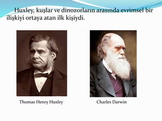 Huxley, kuşlar ve dinozorların arasında evrimsel bir
ilişkiyi ortaya atan ilk kişiydi.
Thomas Henry Huxley Charles Darwin
 