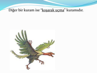 Diğer bir kuram ise “koşarak uçma” kuramıdır.
 