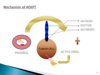 ADEPT (Antibody Directed Enzyme Prodrug Therapy: Its recent advances | PPTX