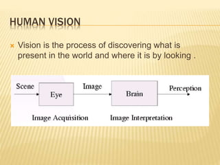 HUMAN VISION
 Vision is the process of discovering what is
present in the world and where it is by looking .
 