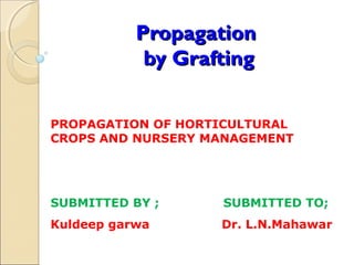 Propagation
            by Grafting


PROPAGATION OF HORTICULTURAL
CROPS AND NURSERY MANAGEMENT




SUBMITTED BY ;     SUBMITTED TO;
Kuldeep garwa      Dr. L.N.Mahawar
 