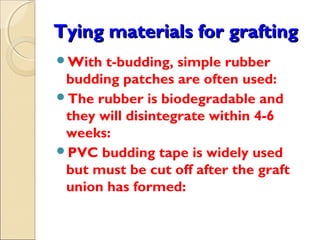 Tying materials for grafting
With  t-budding, simple rubber
 budding patches are often used:
The rubber is biodegradable and
 they will disintegrate within 4-6
 weeks:
PVC budding tape is widely used
 but must be cut off after the graft
 union has formed:
 