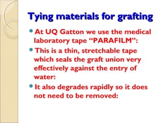 Tying materials for grafting
At  UQ Gatton we use the medical
 laboratory tape “PARAFILM”:
This is a thin, stretchable tape
 which seals the graft union very
 effectively against the entry of
 water:
It also degrades rapidly so it does
 not need to be removed:
 