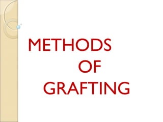 METHODS
    OF
 GRAFTING
 