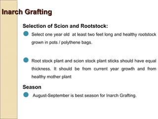 Inarch Grafting
      Selection of Scion and Rootstock:
      Select one year old       at least two feet long and healthy rootstock
          grown in pots / polythene bags.



      Root stock plant and scion stock plant sticks should have equal
          thickness. It should be from current year growth and from
          healthy mother plant

      Season
       August-September is best season for Inarch Grafting.
 