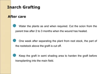 Inarch Grafting

After care


   Water the plants as and when required. Cut the scion from the
    parent tree after 2 to 3 months when the wound has healed.


   One week after separating the plant from root stock, the part of
    the rootstock above the graft is cut off.


   Keep the graft in semi shading area to harden the graft before
    transplanting into the main field.
 