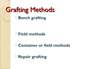 Grafting Methods
      Bench grafting


      Field methods

      Container or field methods

      Repair grafting
 