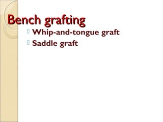Bench grafting
    Whip-and-tongue graft
    Saddle graft
 