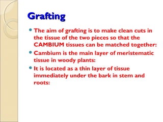 Grafting
 The    aim of grafting is to make clean cuts in
  the tissue of the two pieces so that the
  CAMBIUM tissues can be matched together:
 Cambium is the main layer of meristematic
  tissue in woody plants:
 It is located as a thin layer of tissue
  immediately under the bark in stem and
  roots:
 