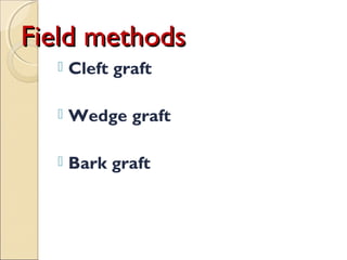 Field methods
     Cleft graft

     Wedge graft

     Bark graft
 