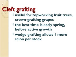 Cleft grafting
     useful for topworking fruit trees,
      crown-grafting grapes
     the best time is early spring,
      before active growth
     wedge grafting allows 1 more
      scion per stock
 
