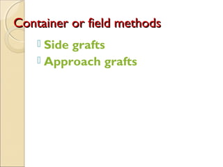 Container or field methods
     Side grafts
     Approach grafts
 