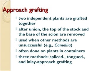 Approach grafting
       two independent plants are grafted
        together
       after union, the top of the stock and
        the base of the scion are removed
       used when other methods are
        unsuccessful (e.g., Camellia)
       often done on plants in containers
       three methods: spliced-, tongued-,
        and inlay-approach grafting
 