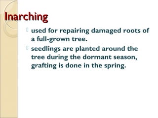 Inarching
     used for repairing damaged roots of
      a full-grown tree.
     seedlings are planted around the
      tree during the dormant season,
      grafting is done in the spring.
 