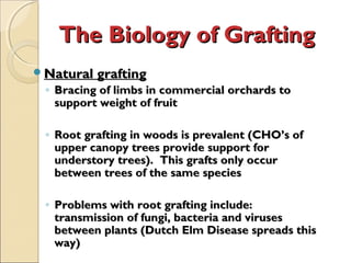 The Biology of Grafting
Natural grafting
 ◦ Bracing of limbs in commercial orchards to
   support weight of fruit

 ◦ Root grafting in woods is prevalent (CHO’s of
   upper canopy trees provide support for
   understory trees). This grafts only occur
   between trees of the same species

 ◦ Problems with root grafting include:
   transmission of fungi, bacteria and viruses
   between plants (Dutch Elm Disease spreads this
   way)
 