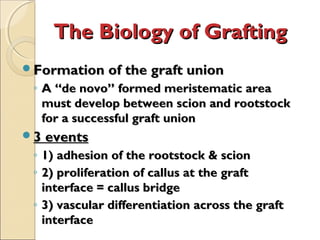 The Biology of Grafting
Formation of the graft union
 ◦ A “de novo” formed meristematic area
   must develop between scion and rootstock
   for a successful graft union
3 events
 ◦ 1) adhesion of the rootstock & scion
 ◦ 2) proliferation of callus at the graft
   interface = callus bridge
 ◦ 3) vascular differentiation across the graft
   interface
 
