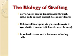 The Biology of Grafting
   Some water can be translocated through
    callus cells but not enough to support leaves

   Cell-to-cell transport via plasmodesmata =
    symplastic transport (links cells membranes)

   Apoplastic transport is between adhering
    cells
 